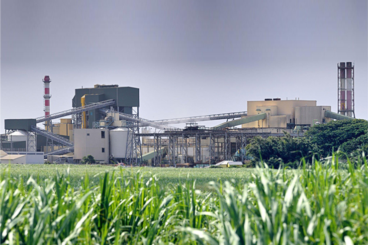 Agro Based Industries
